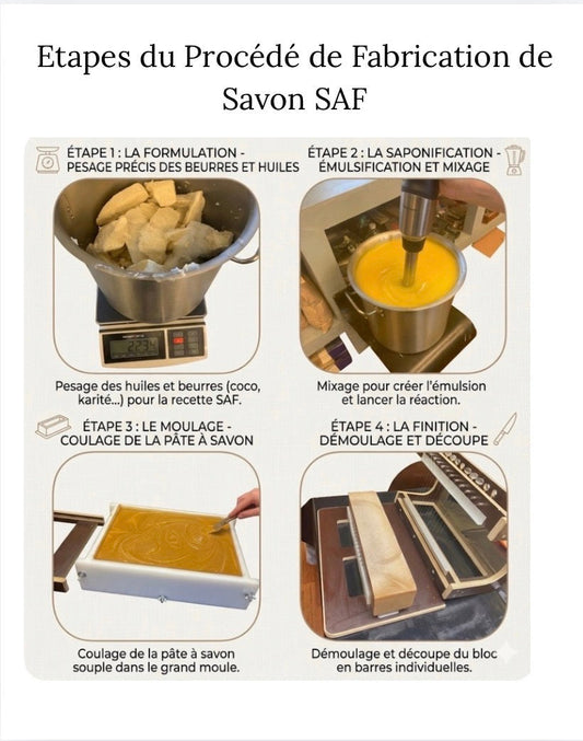 🧼 Shampoing Solide vs Liquide : Le comparatif technique que votre chien attendait