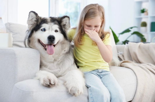 Remède naturel contre les odeurs de chien : les solutions qui marchent vraiment